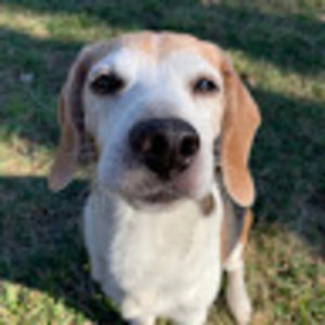 Meet your Posher, Ella